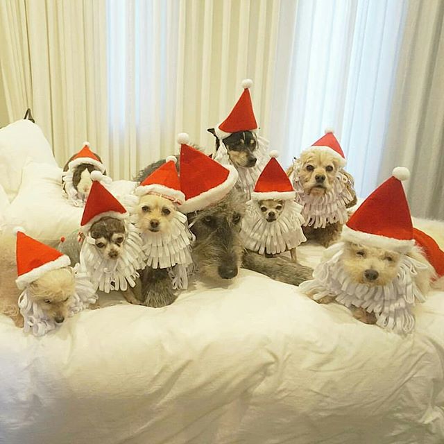 75081156_1033288943676753_1319785806664221925_n